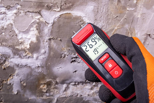 Professional Mold Removal in Paris, MO