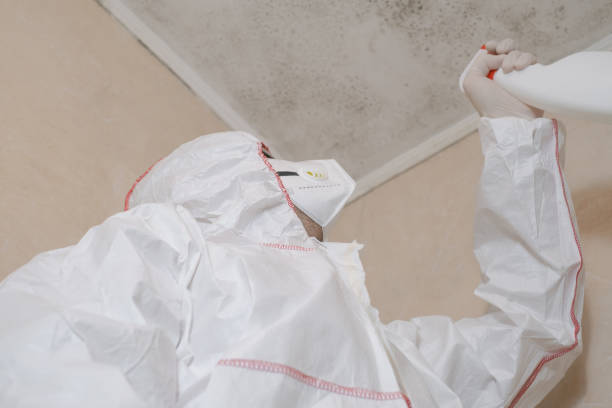 Best Office Mold Removal Services  in Paris, MO